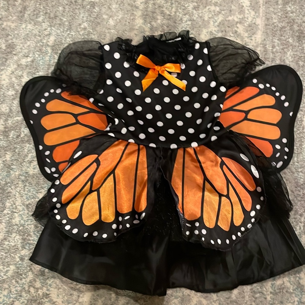 Target Butterfly Costume size 2-3T